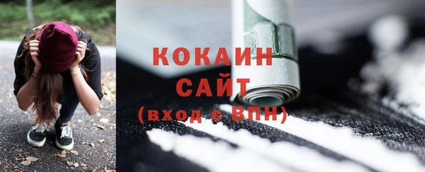 сатива Балахна