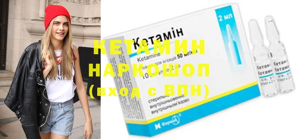сатива Балахна