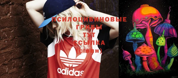 сатива Балахна