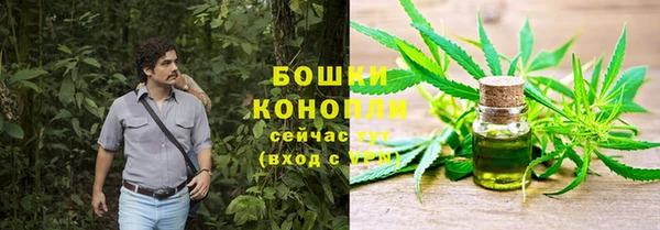 сатива Балахна