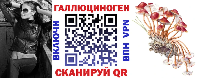 Галлюциногенные грибы прущие грибы  Николаевск 